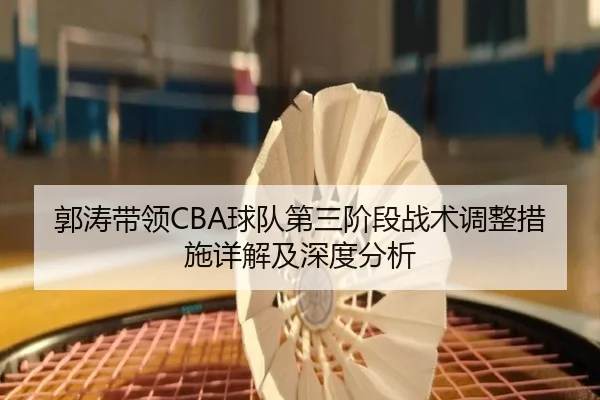 郭涛带领CBA球队第三阶段战术调整措施详解及深度分析