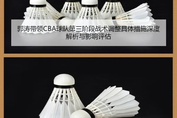 guo-tao-dai-ling-qiu-dui-di-san-jie-duan-zhan-shu-tiao-zheng-ju-ti-cuo-shi-shen-du-jie-xi-yu-ying-xiang-ping-gu-2-901.jpg