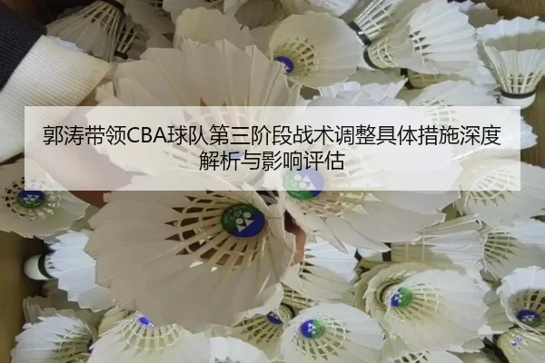郭涛带领CBA球队第三阶段战术调整具体措施深度解析与影响评估