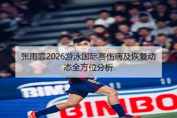 张雨霏2026游泳国际赛伤病及恢复动态全方位分析